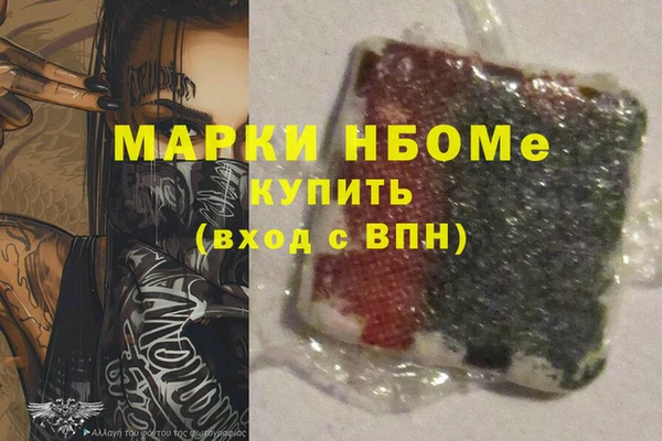 хмурый Арсеньев