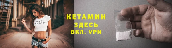 индика Грязовец