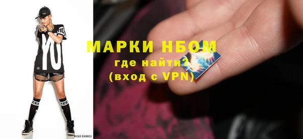 индика Сосновка