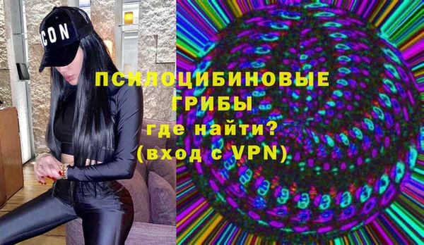 хмурый Арсеньев