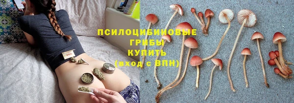 хмурый Арсеньев