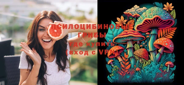 тгк Сосновый Бор