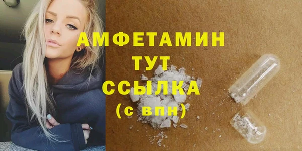 хмурый Арсеньев