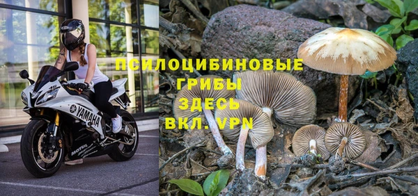 хмурый Арсеньев