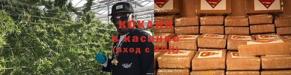 хмурый Арсеньев