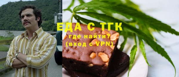 индика Сосновка